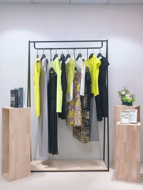 广州品牌折扣女装同款批发 精品连衣裙尾货批发与鞋帽批发的商机